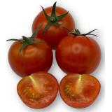 Kirschtomaten