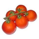 Eiertomaten