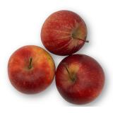 Apfel Jonagold