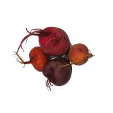 Rote/Bunte Bete