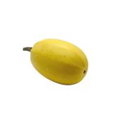 Kürbis Spaghetti