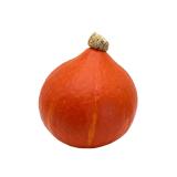 Kürbis Hokkaido orange