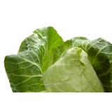 Spitzkohl