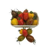 bunte Tomaten 250g Schale