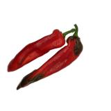 Paprika Spitz rot
