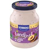 Saisonjoghurt Pflaume Zimt
