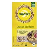 Quinoa tricolore