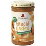 Fruchtgarten Aprikose