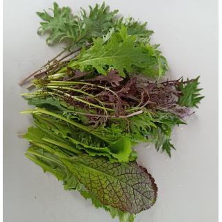 Asia Salat Mix Bund