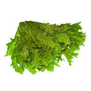 Endiviensalat Hebscheid