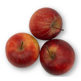 Apfel Jonagold
