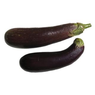 Auberginen