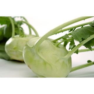 Kohlrabi mit Laub