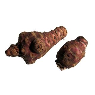 Topinambur Hebscheid