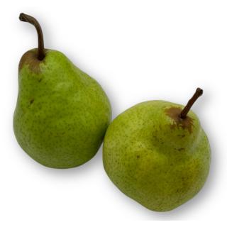 Birne Guyot