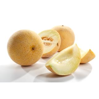 Honigmelone Galia
