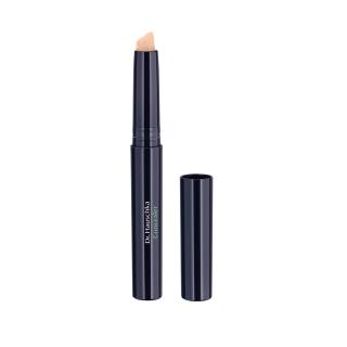 Concealer 02 chestnut