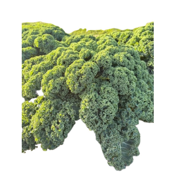 Grünkohl Hebscheid 500g Bund