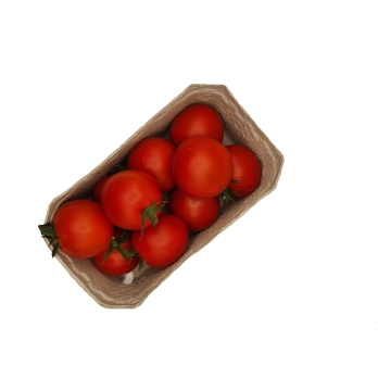 Tomaten rund  500 g Schale
