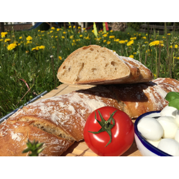 Wurzelbrot natur