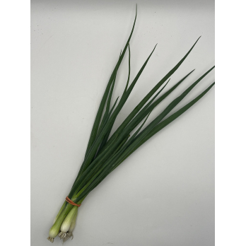 Bundzwiebeln Hebscheid