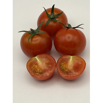 Cherry Strauchtomaten