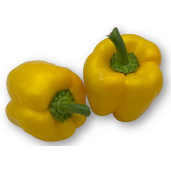 Paprika gelb