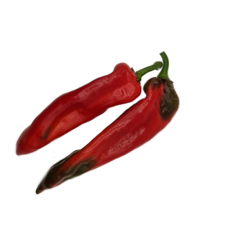 Paprika Spitz rot