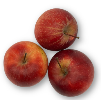 Apfel Idared