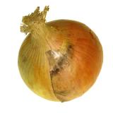 Gemüsezwiebel