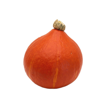 Kürbis Hokkaido Hebscheid