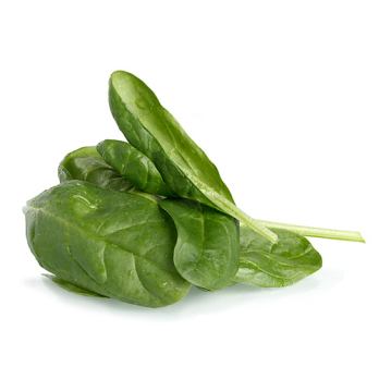Baby-Spinat in der Schale 100 g