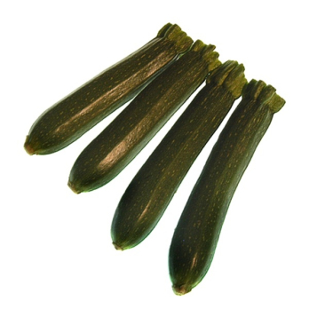 Zucchini