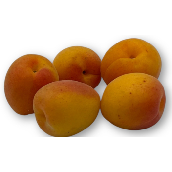 Aprikosen