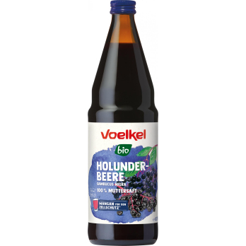 Heimische Holunderbeere